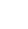 Mission 1st Security Services crest